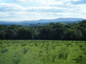 View across culm to Dartmoor