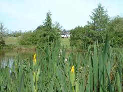 View across lake